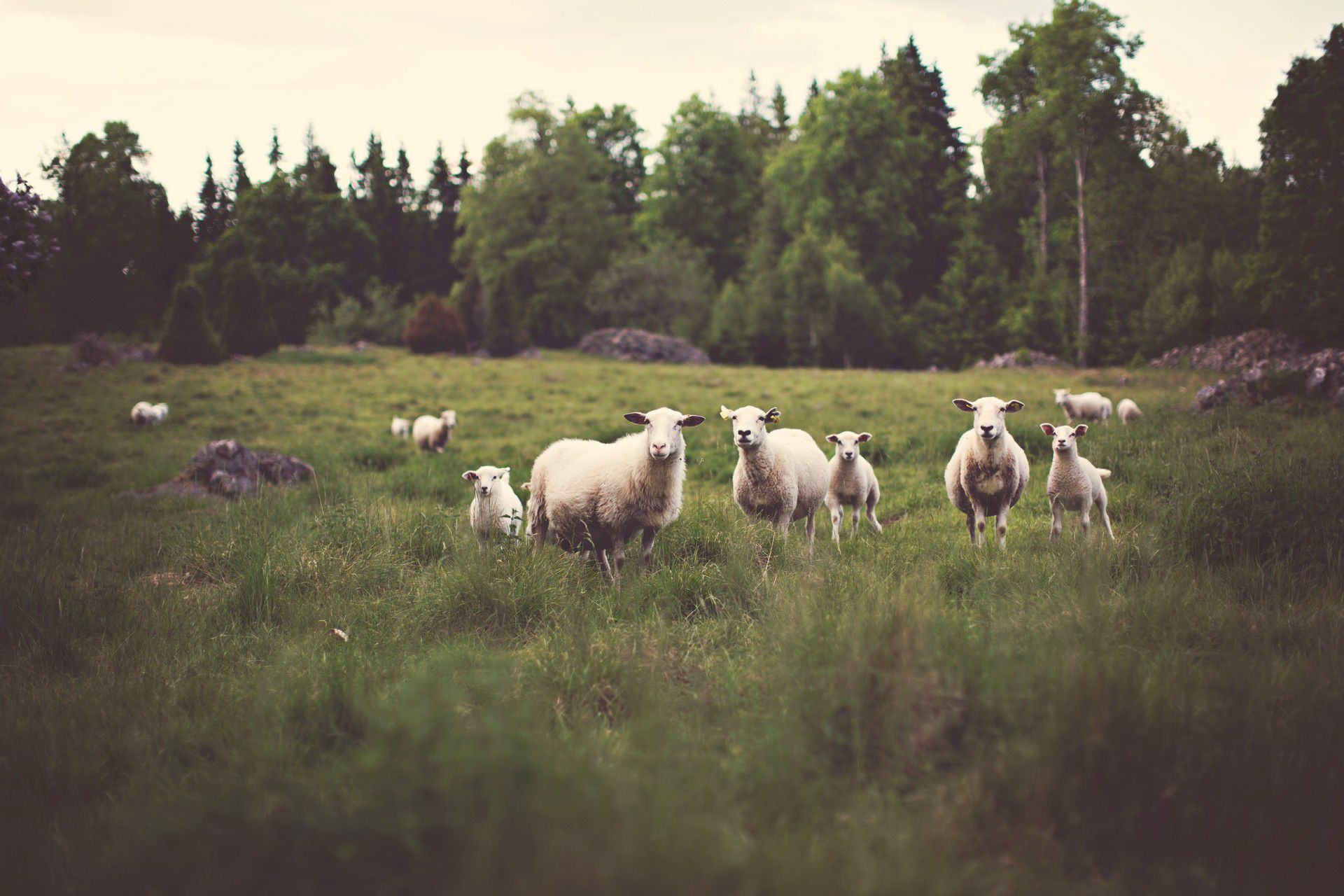 unsplash 11