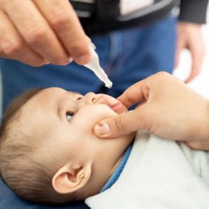 photo 2025 11 19 09 15 52